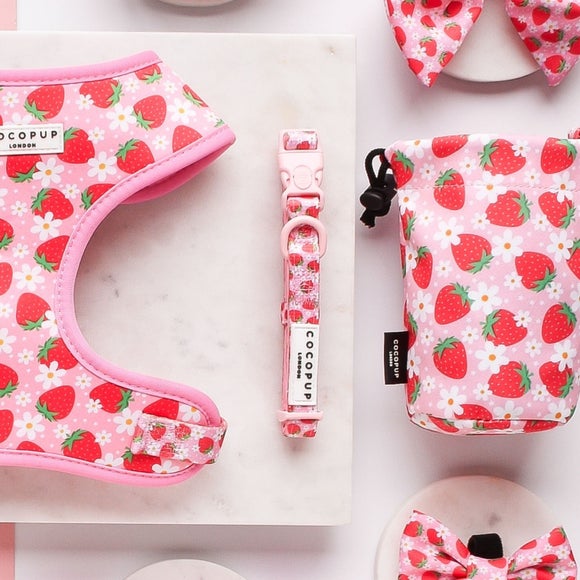 Carousel navigation image position 2 of 3