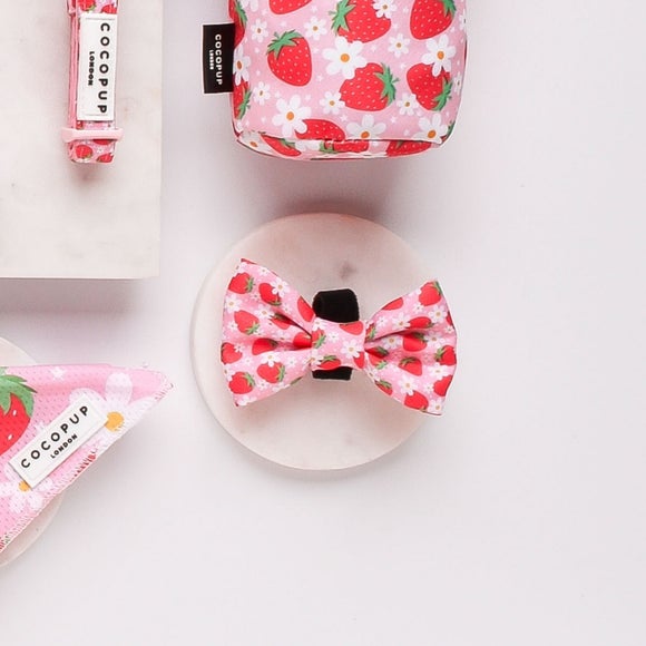 Cocopup Pupberry Fields Bandana and Bow Tie Set