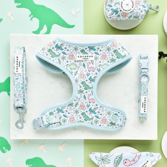 Carousel navigation image position 3 of 3