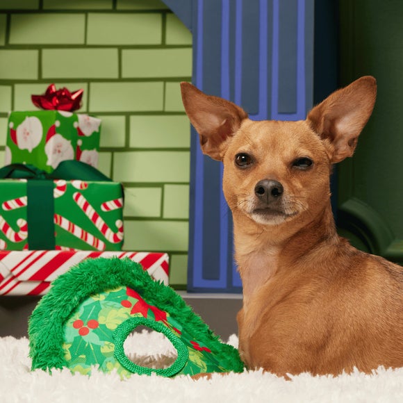 Carousel navigation image position 3 of 3