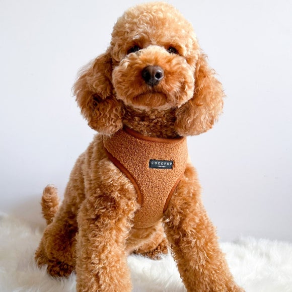 Carousel navigation image position 2 of 4