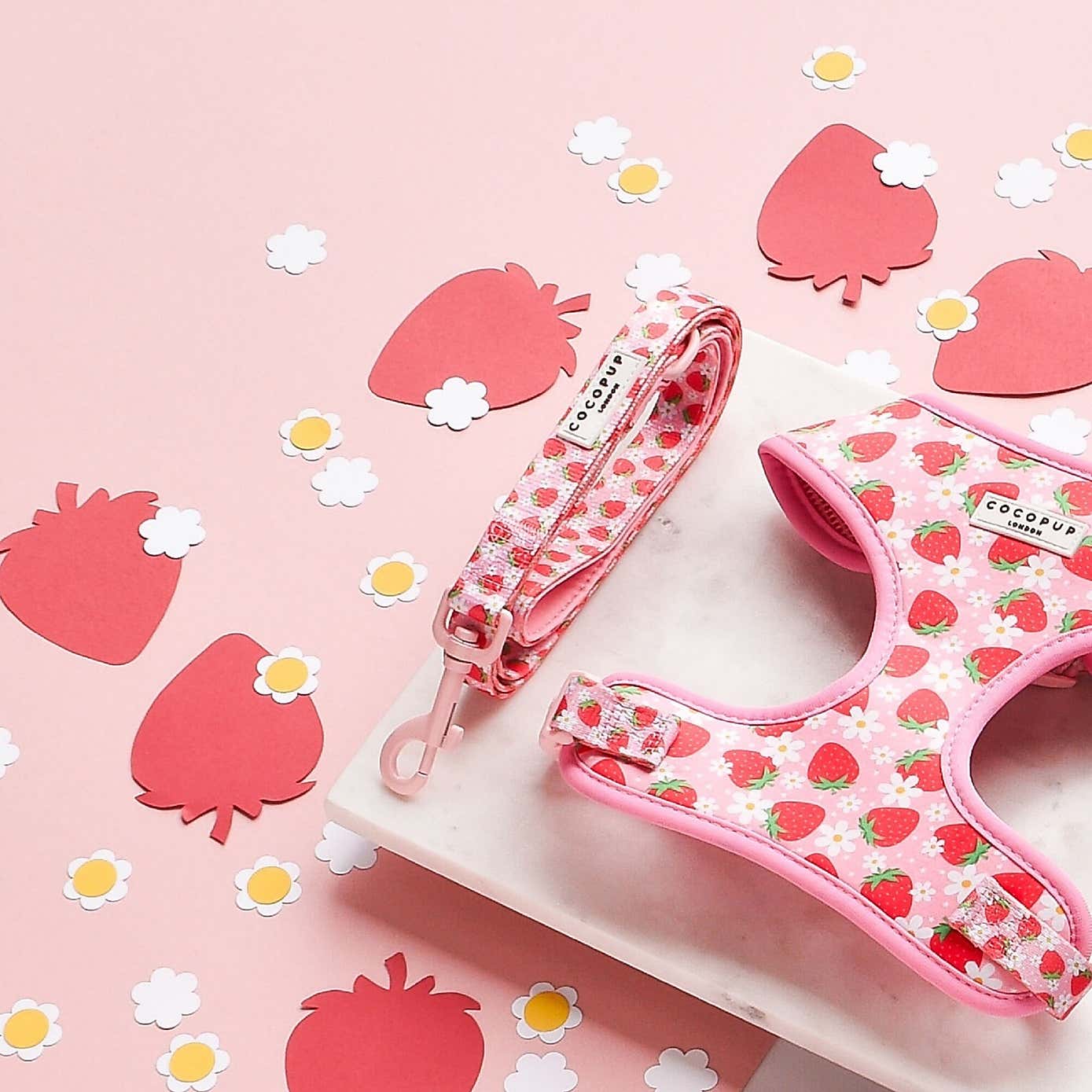 Carousel zoom image position 1 of 2