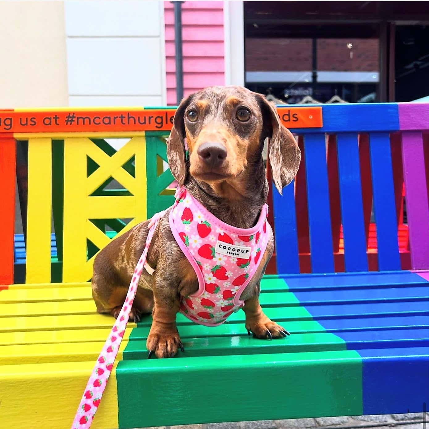 Carousel zoom image position 2 of 2