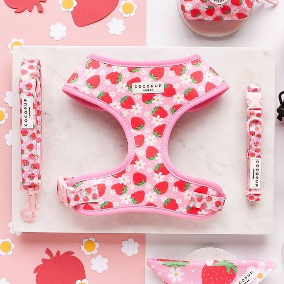 Cocopup Pupberry Fields Pet Harness