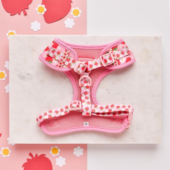 Carousel navigation image position 2 of 5