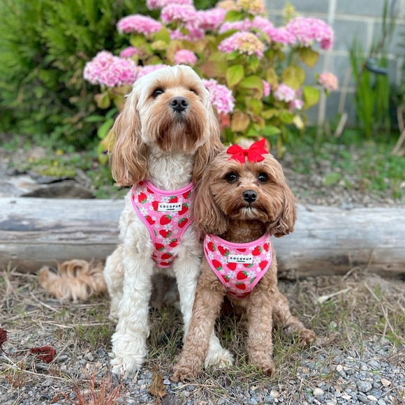 Carousel navigation image position 4 of 5