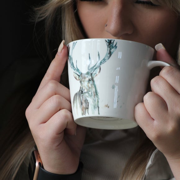 Carousel navigation image position 2 of 4