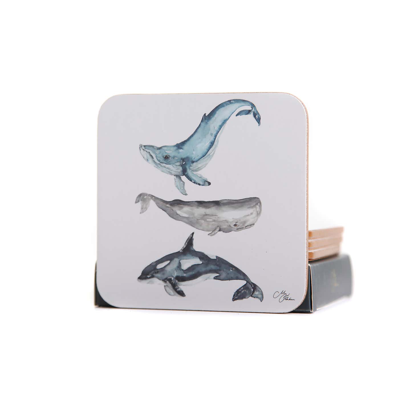 Carousel zoom image position 2 of 5