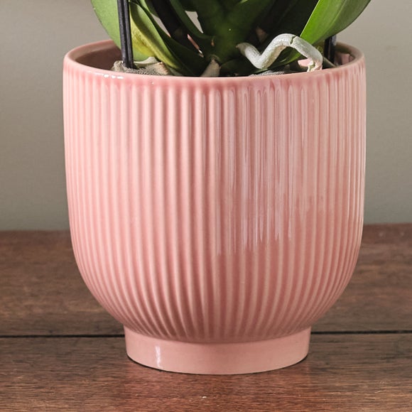 Carousel navigation image position 3 of 3