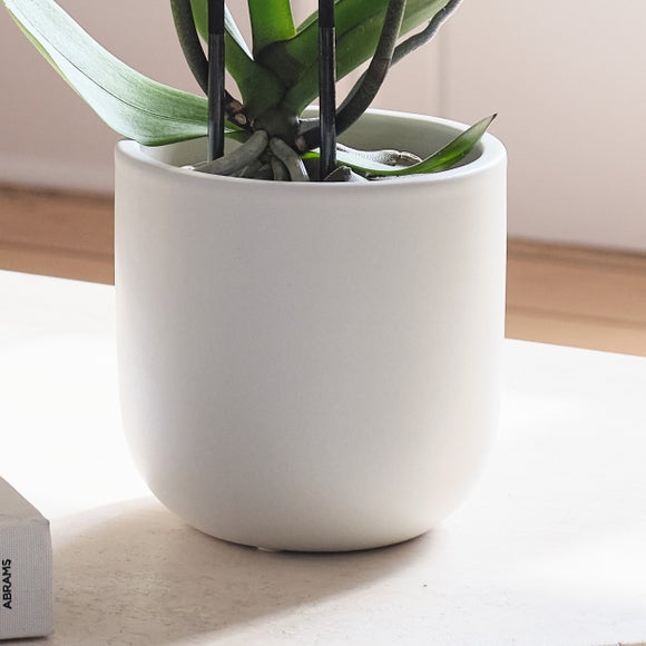 Carousel navigation image position 3 of 3