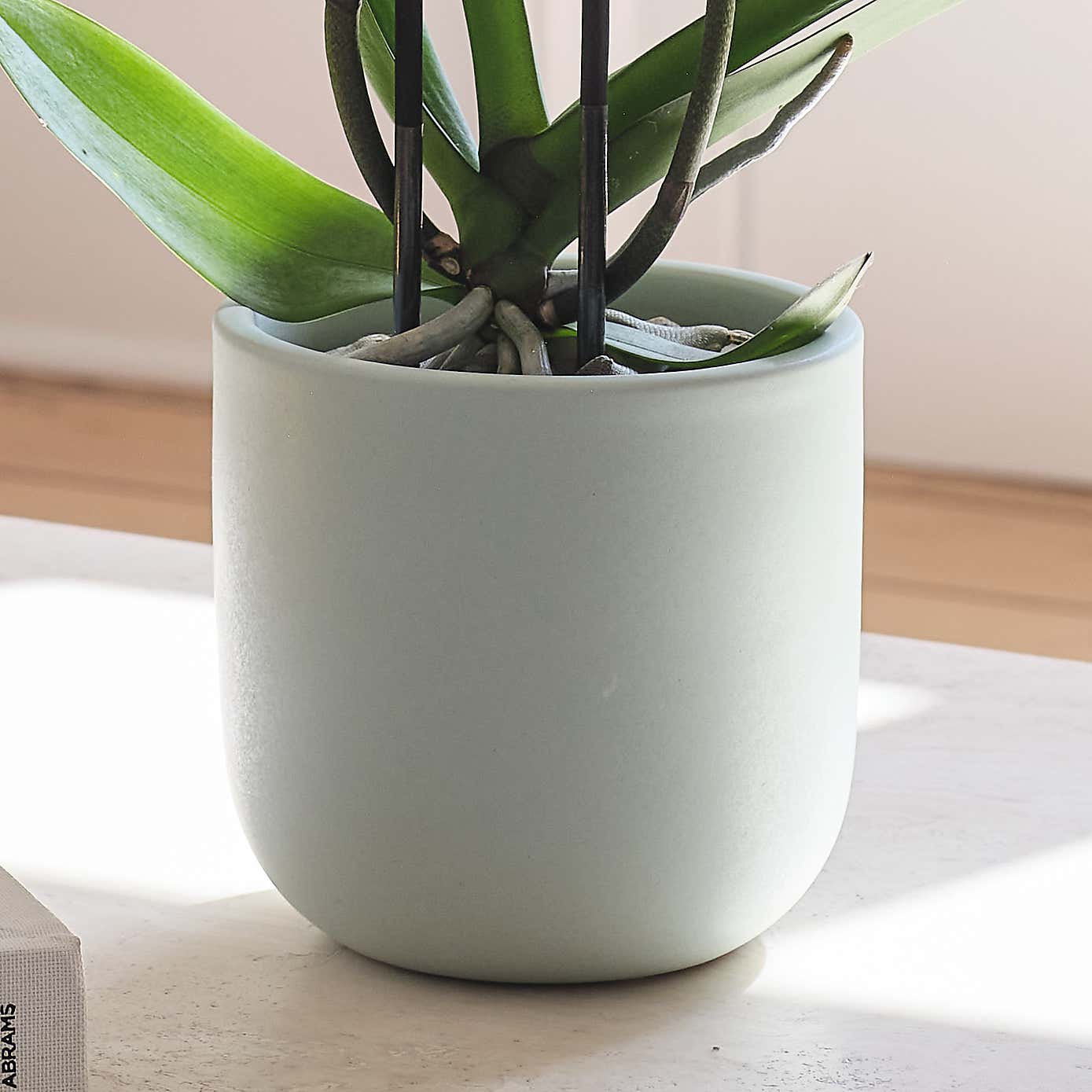 Carousel zoom image position 3 of 3