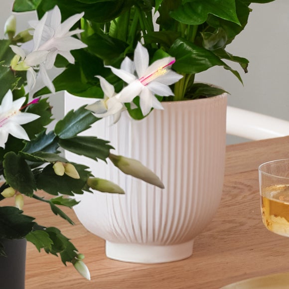 Carousel navigation image position 4 of 4