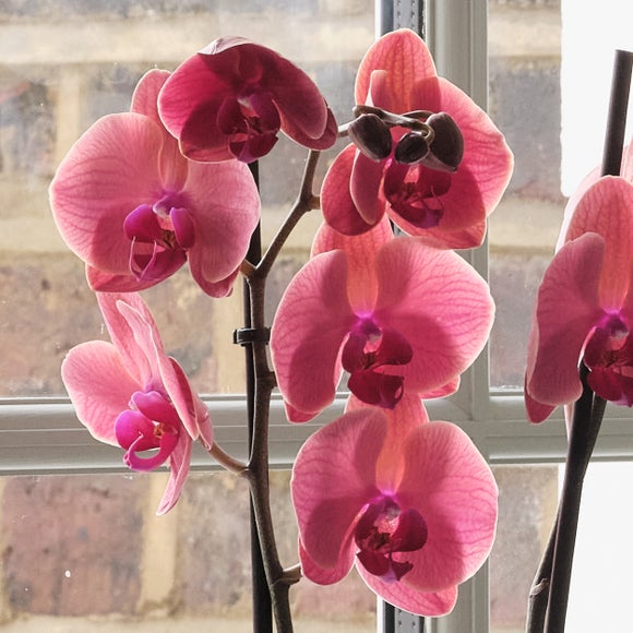 Carousel navigation image position 2 of 7