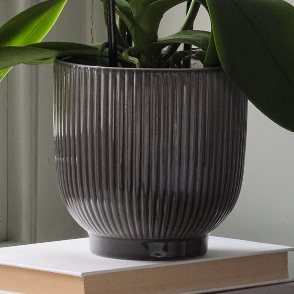 Carousel navigation image position 5 of 7