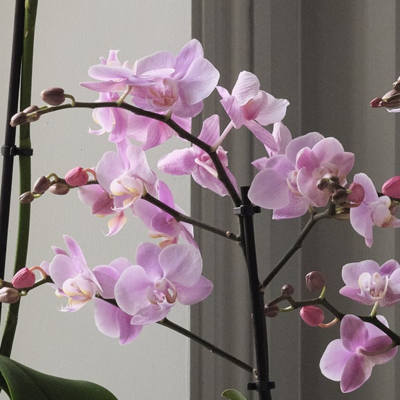 Carousel navigation image position 6 of 7