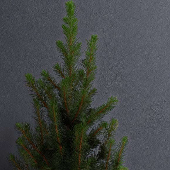 Carousel navigation image position 2 of 3