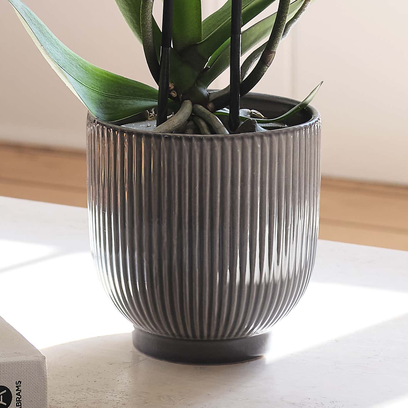 Carousel zoom image position 3 of 3