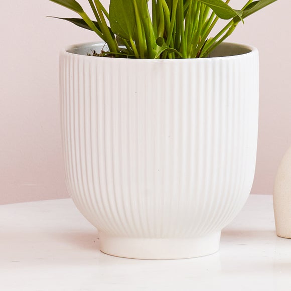 Carousel navigation image position 3 of 3