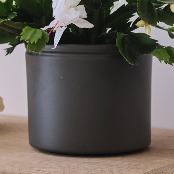 Carousel navigation image position 3 of 3