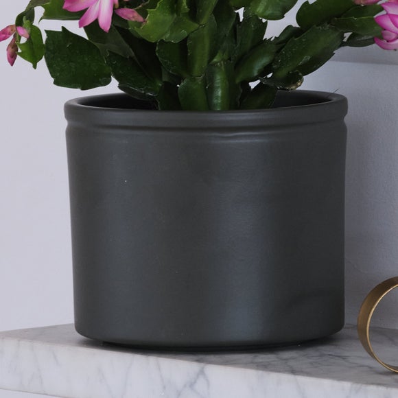 Carousel navigation image position 3 of 3