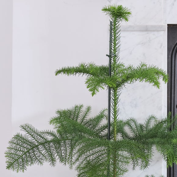 Carousel navigation image position 2 of 4