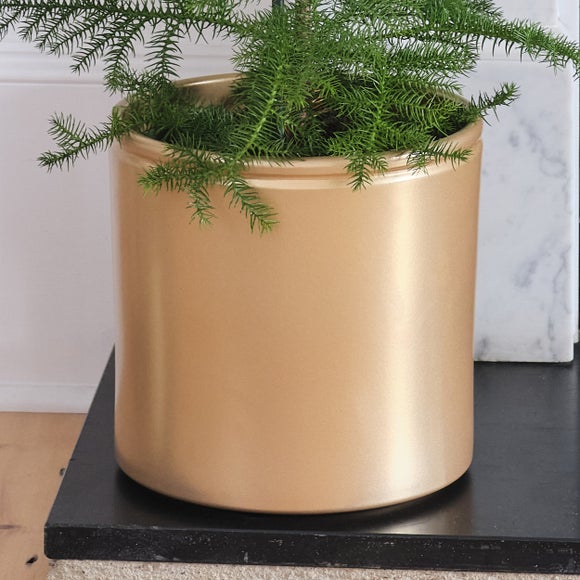 Carousel navigation image position 4 of 4