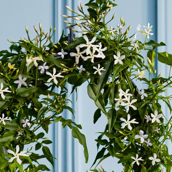 Carousel navigation image position 2 of 4