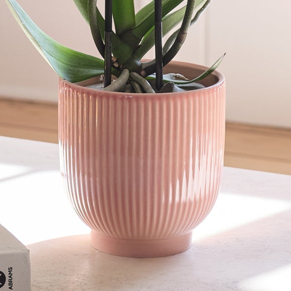 Carousel navigation image position 3 of 3