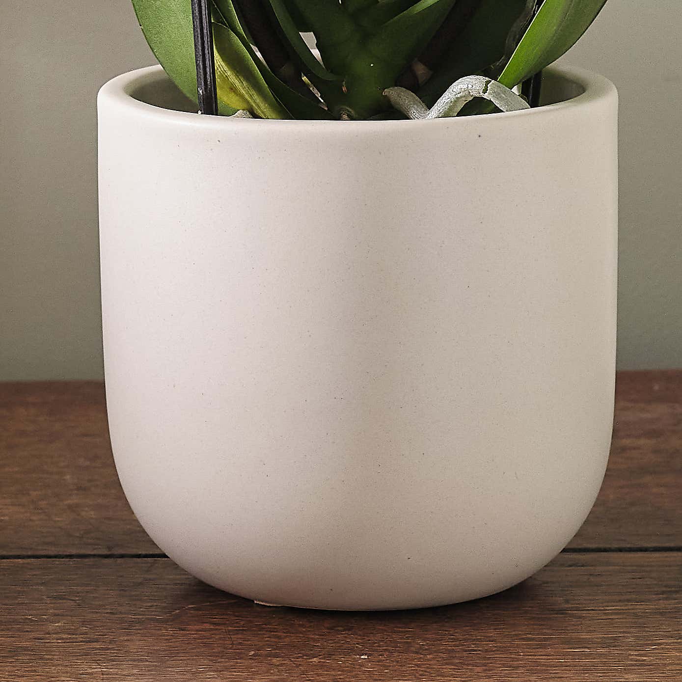 Carousel zoom image position 3 of 3