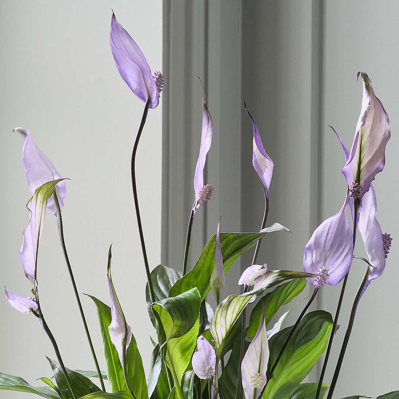 Carousel zoom image position 2 of 3