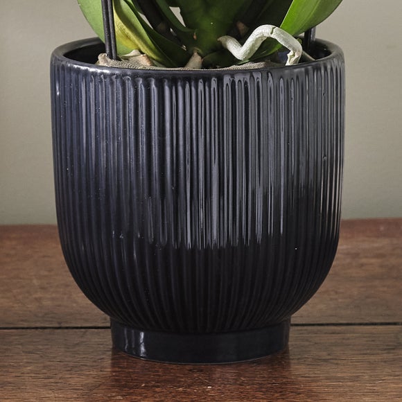 Carousel navigation image position 3 of 3