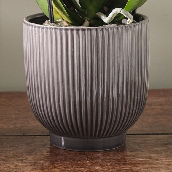 Carousel navigation image position 3 of 3