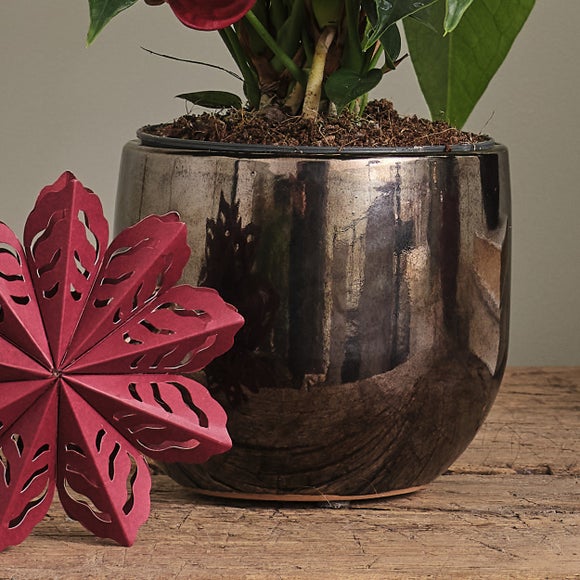 Carousel navigation image position 3 of 7