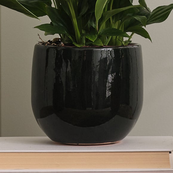 Carousel navigation image position 5 of 7