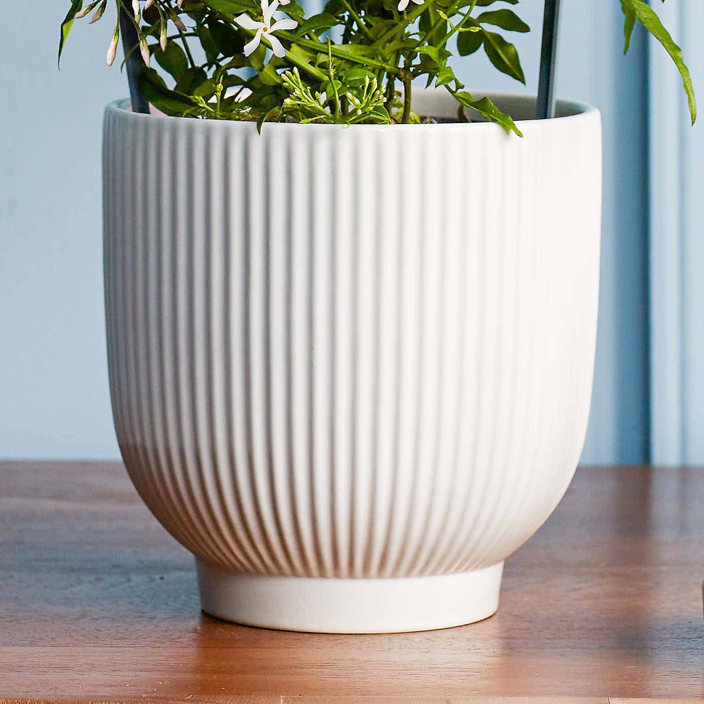 Carousel zoom image position 3 of 3