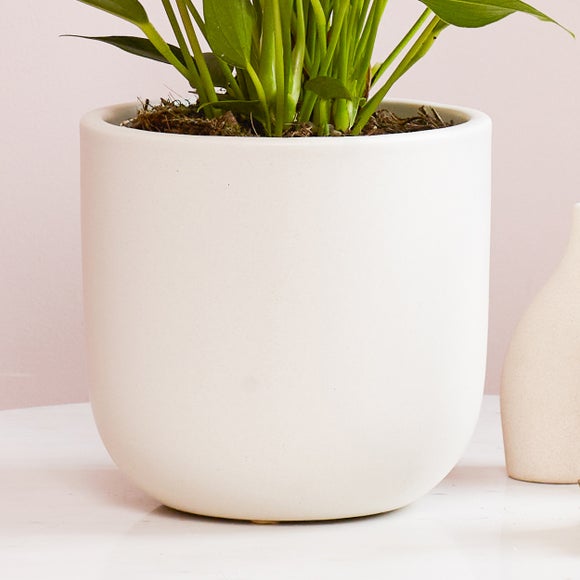 Carousel navigation image position 3 of 3