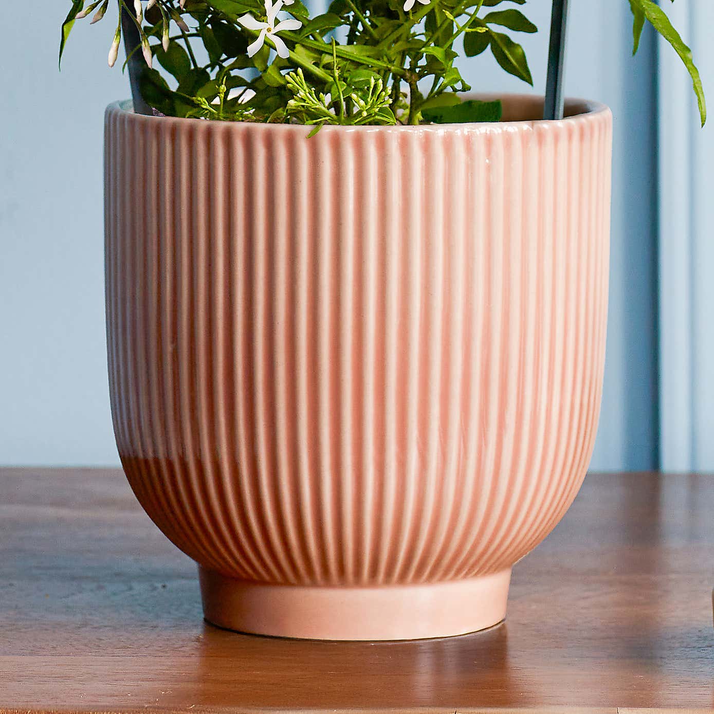 Carousel zoom image position 4 of 4