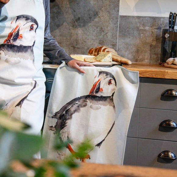 Carousel navigation image position 2 of 4