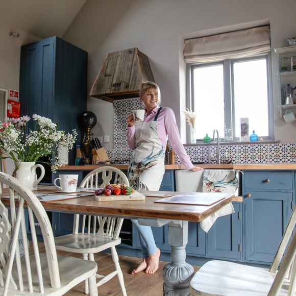 Carousel navigation image position 4 of 6