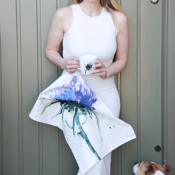 Carousel navigation image position 2 of 4