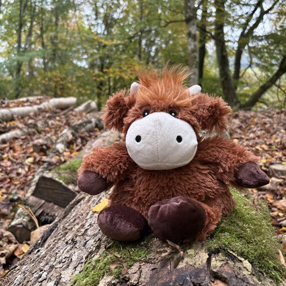 Carousel navigation image position 4 of 5