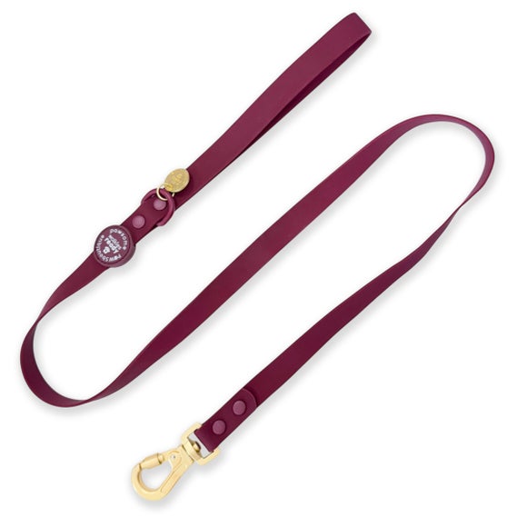 Pawsome Paws Boutique Waterproof Lead