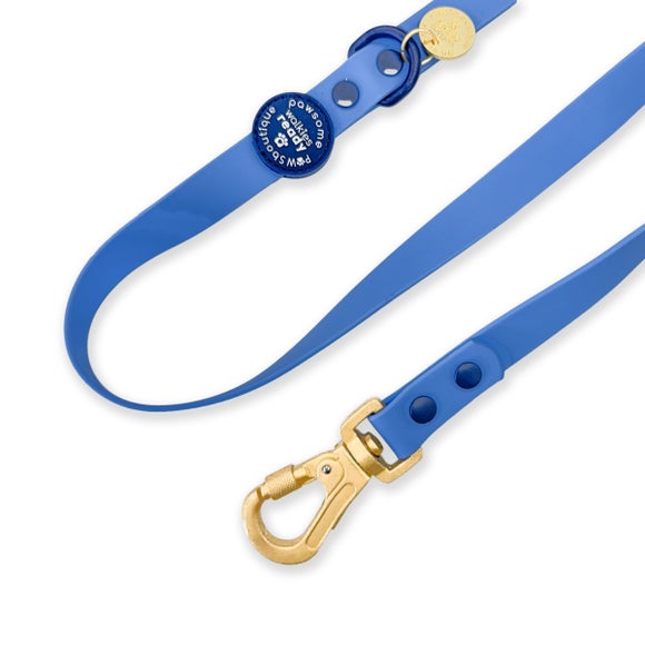 Carousel navigation image position 3 of 3