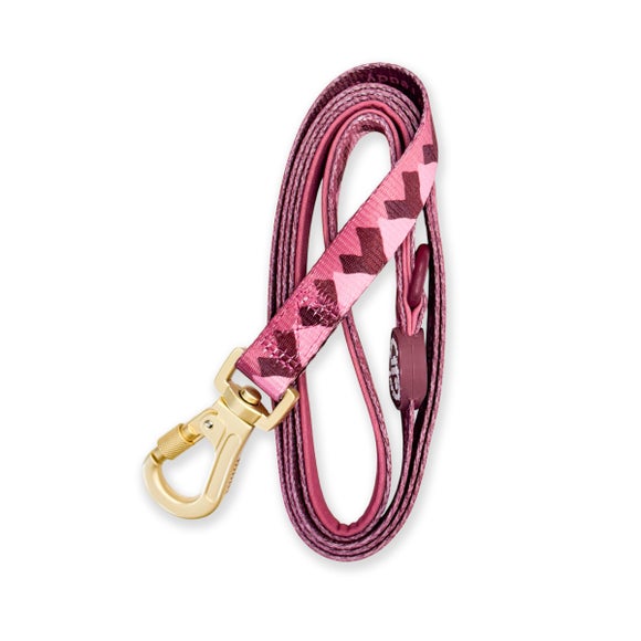 Pawsome Paws Boutique Walkies Ready Lead