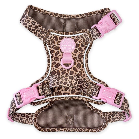 Carousel navigation image position 2 of 2