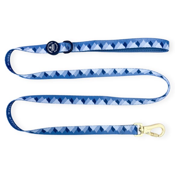 Pawsome Paws Boutique Walkies Ready Lead