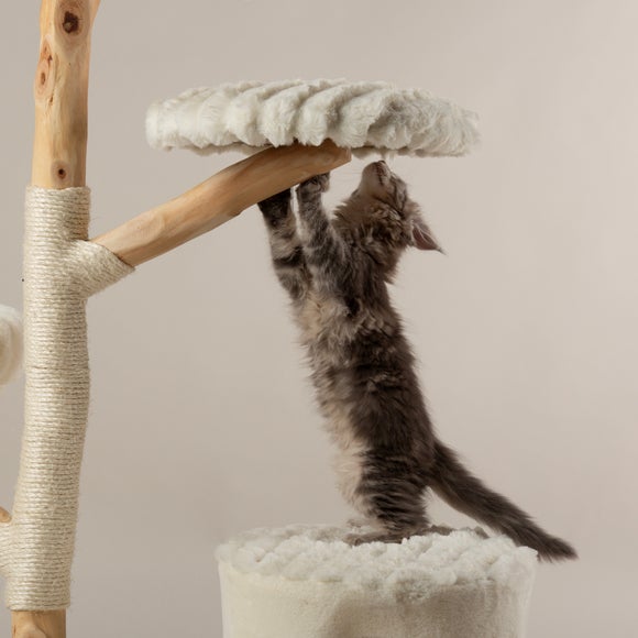 Carousel navigation image position 3 of 7