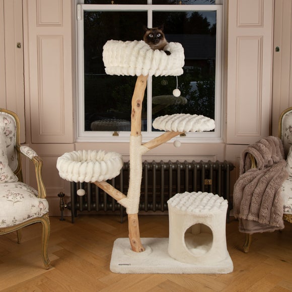 Carousel navigation image position 5 of 7