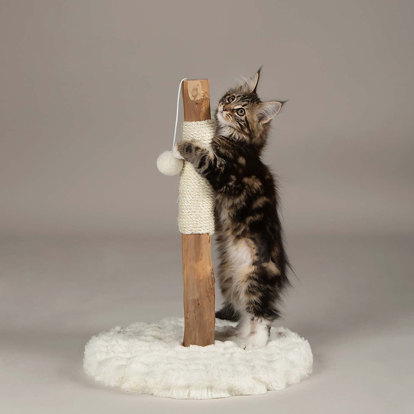 Carousel zoom image position 1 of 6