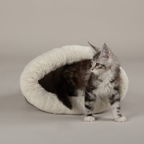 Carousel navigation image position 2 of 5